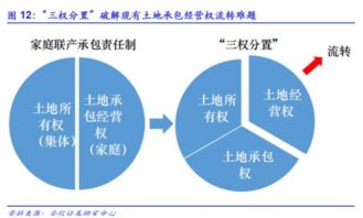 安信证券 一号文件发布在即 关注农业供给侧机会