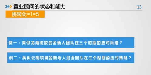 营销 中南地产销售管理中的关键要素确定及组合运用