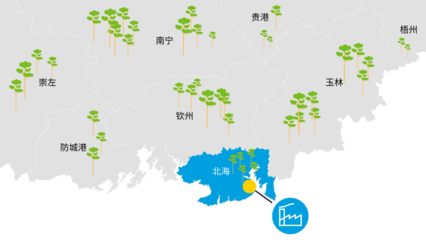 斯道拉恩索打造低碳绿色的供应链
