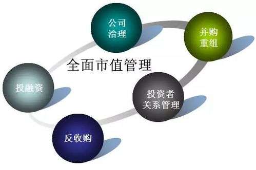 金融服务 中国上市公司市值管理 资本运作