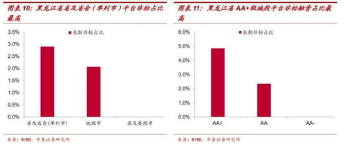 东北城投有多少非标