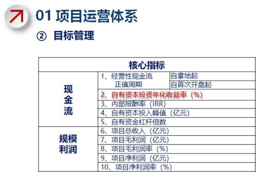 龙湖 旭辉 蓝光 地产战略运营管理体系解析