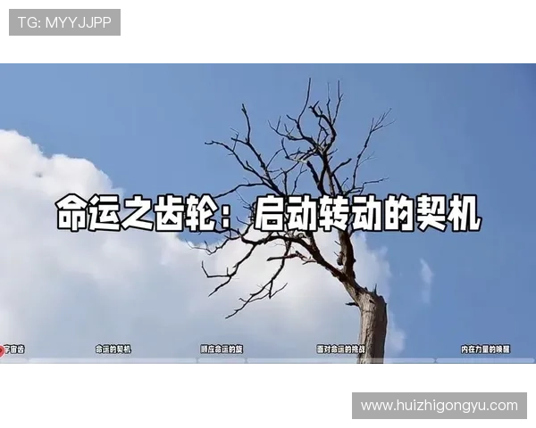 《复仇第三季》:当命运的齿轮再次转动,你准备好迎接怎样的风暴?