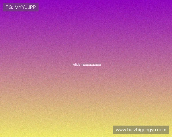 heliofant：照亮未来，点燃无限可能